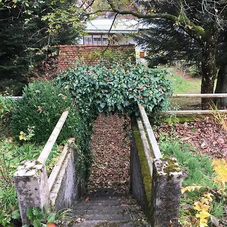 Haus Silberdistel Apartmán Todtmoos