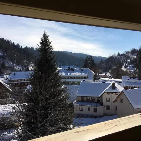 Apartmán Haus Silberdistel Todtmoos